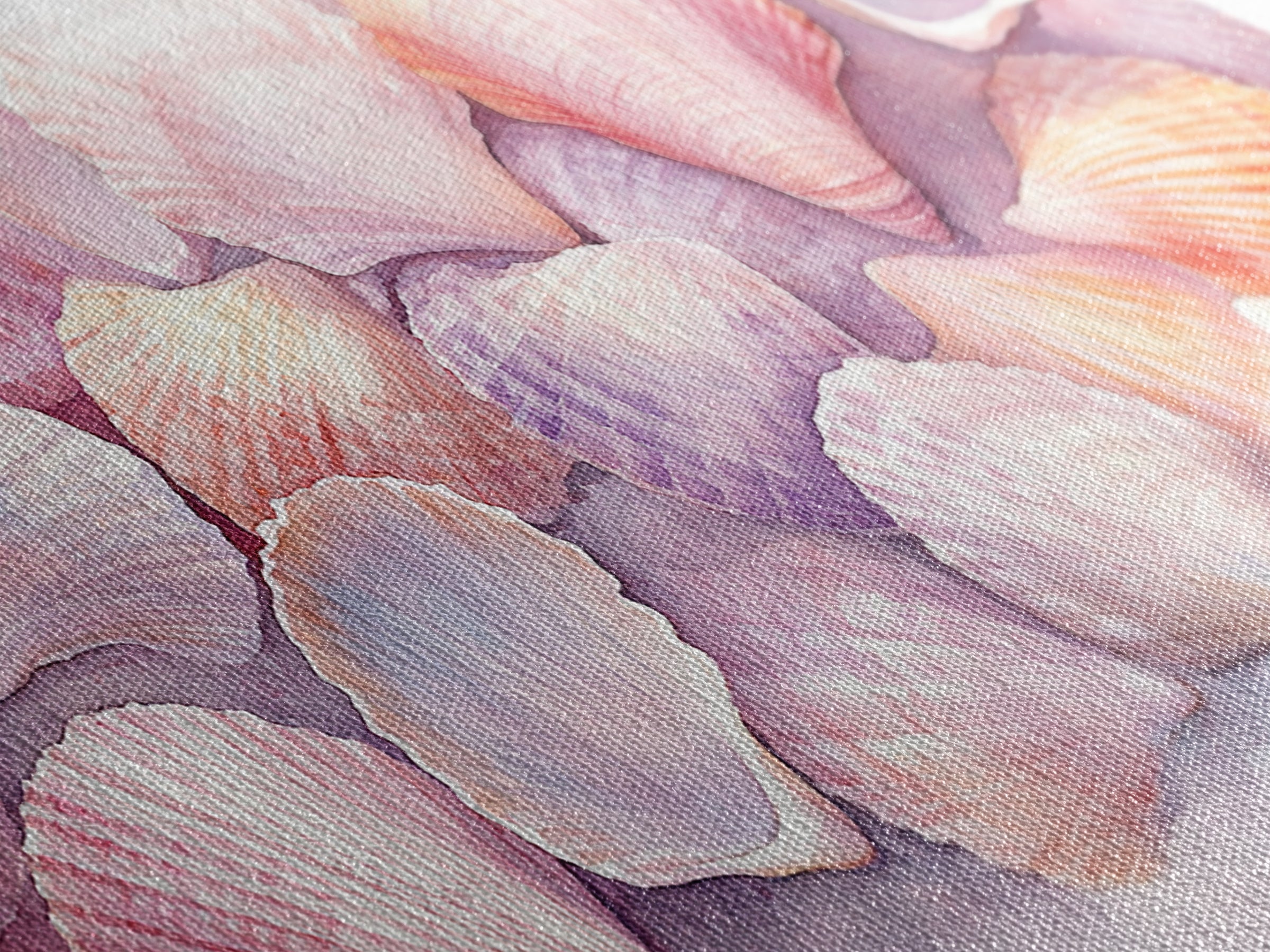 Coastal Seashell Canvas Print, Nautical Wall Art, Coastal Decor, Rustic Beach Art, Light Pink Shell Painting, Coastal Landscape Art Gift