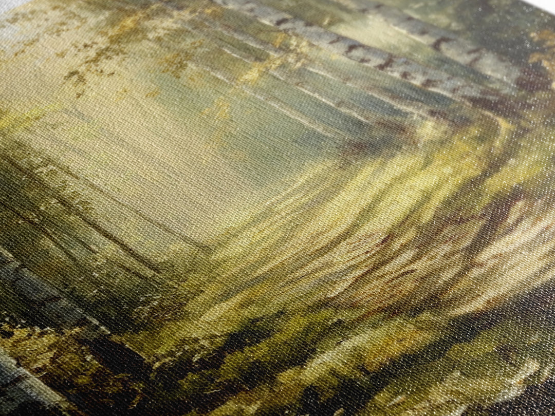 Birch Forest Path Framed Canvas Print Rustic Wall Art Farmhouse Wall Art Nature Landscape Art Above Bed Wall Art Fall Decor Living Room Art