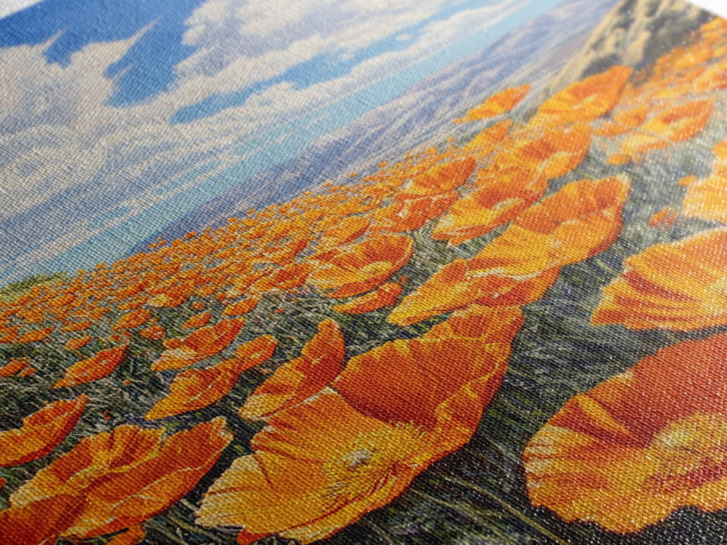 California Poppy Canvas Print with Vibrant Wildflower Painting, Rustic Living Room Art, Nature Landscape for Farmhouse Wall Decor