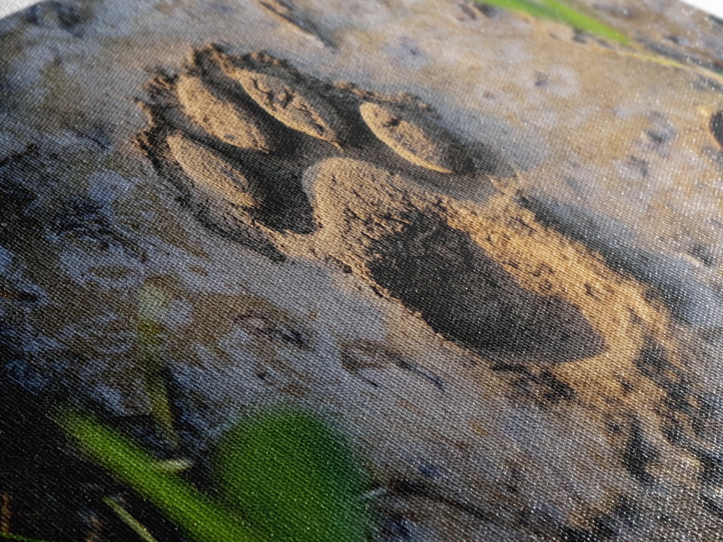 Animal Paw Print, rustic decor, moody art, nature painting, wildlife art, earthy tones, textured wall art, Framed Canvas Print