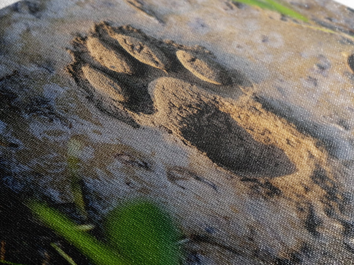 Animal Paw Print, rustic decor, moody art, nature painting, wildlife art, earthy tones, textured wall art, Framed Canvas Print