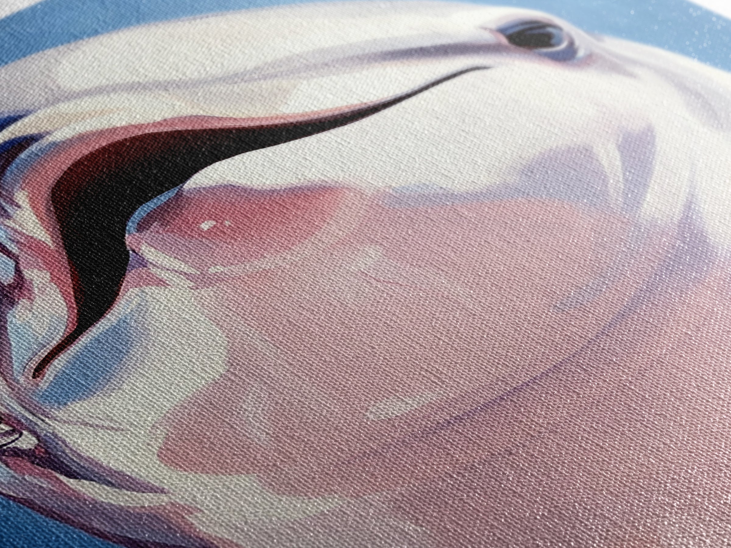 Dolphin Smile, Ocean Wildlife, Playful Sea Art, Coastal Decor, Nautical Wall Art, Canvas Print, Kids Room Art, Marine Animal Painting