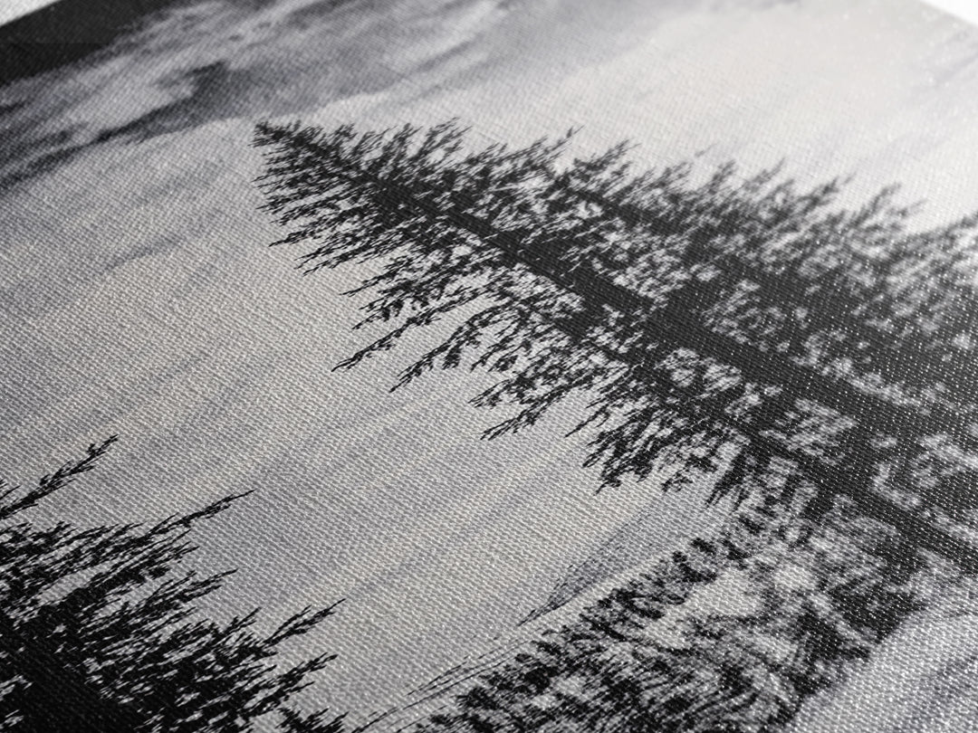 Black White Pine, Winter Forest, Nature Wall Art, Christmas Decor, Modern Minimalist, Monochrome Print, Framed Canvas Print