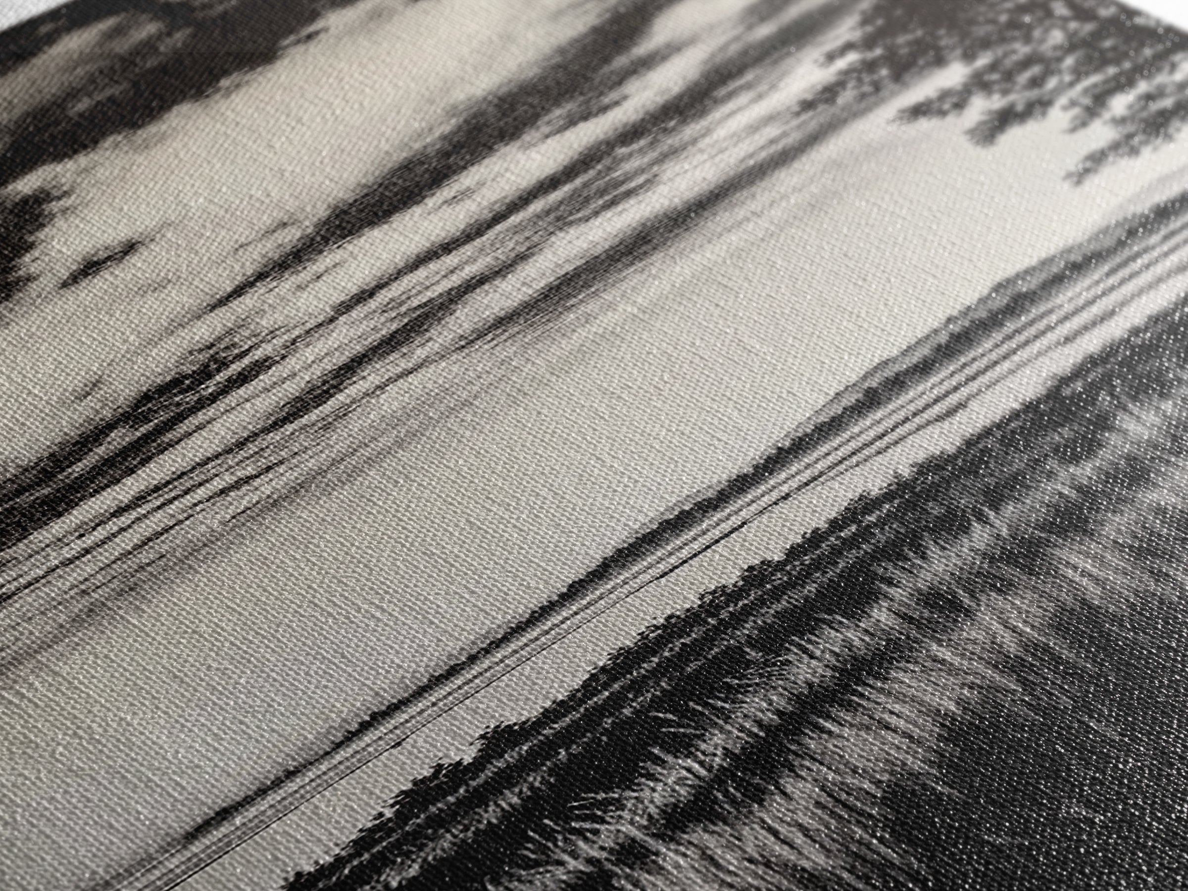 Black White, Misty Marsh, Monochrome Landscape, Minimalist Wall Art, Canvas Print, Modern Home Decor, Living Room Art, Nature Scene