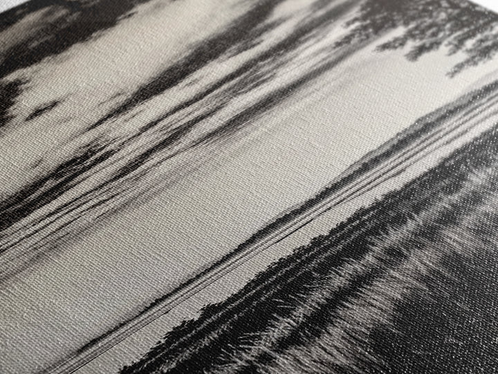 Black White, Misty Marsh, Monochrome Landscape, Minimalist Wall Art, Canvas Print, Modern Home Decor, Living Room Art, Nature Scene