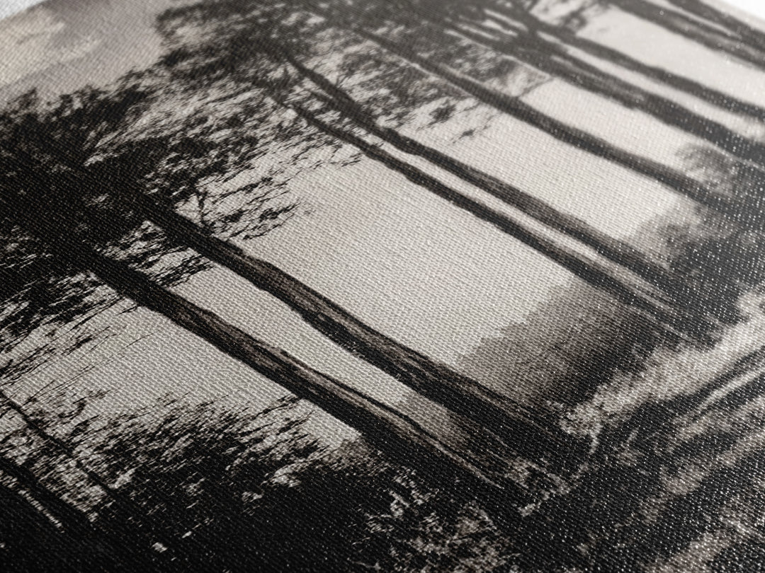 Black White Forest, Minimalist Wall Art, Monochrome Nature Print, Wooded Landscape, Moody Tree Art, Modern Home, Framed Canvas Print