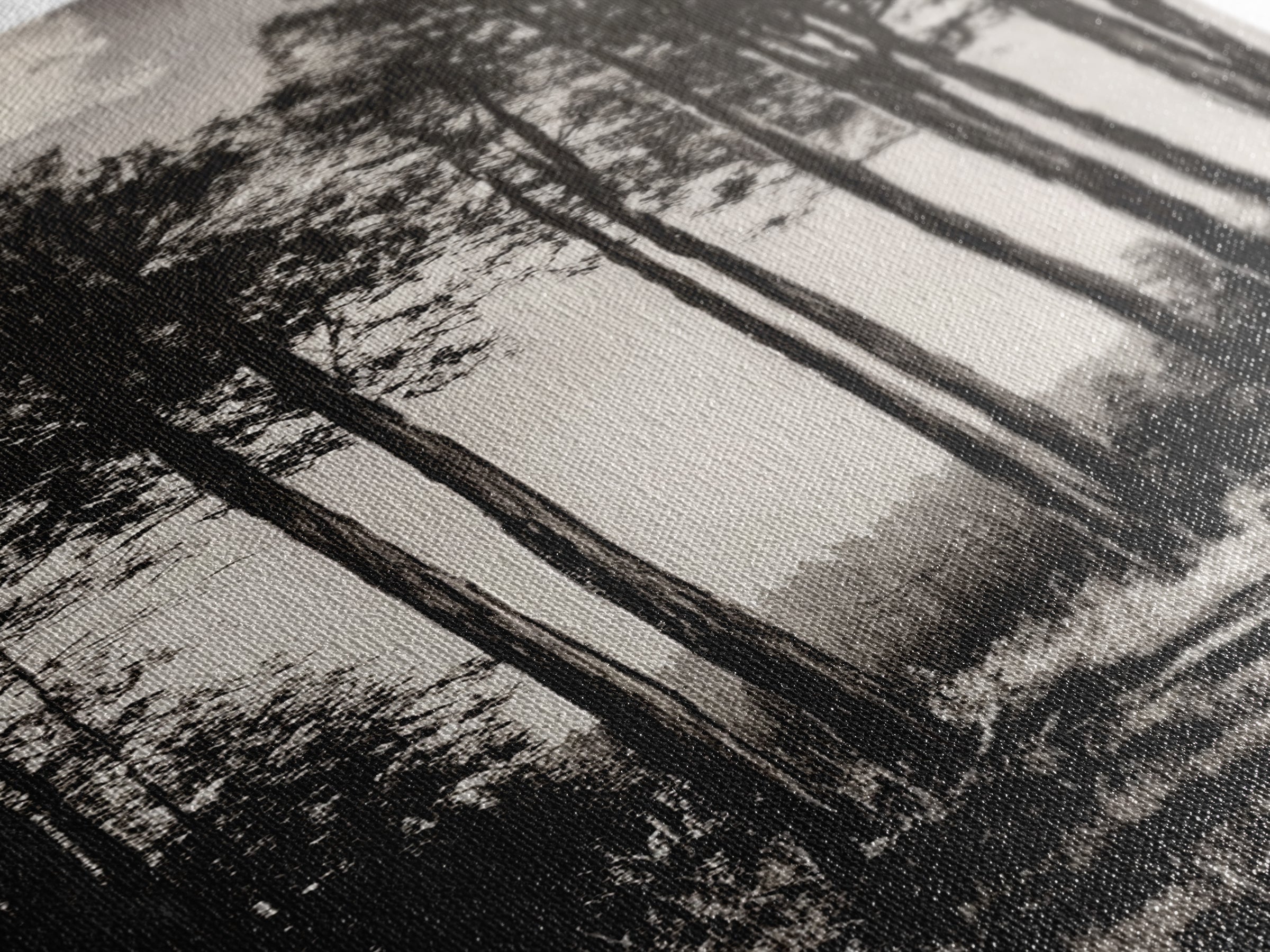 Black White Forest, Minimalist Wall Art, Monochrome Nature Print, Wooded Landscape, Moody Tree Art, Modern Home, Framed Canvas Print