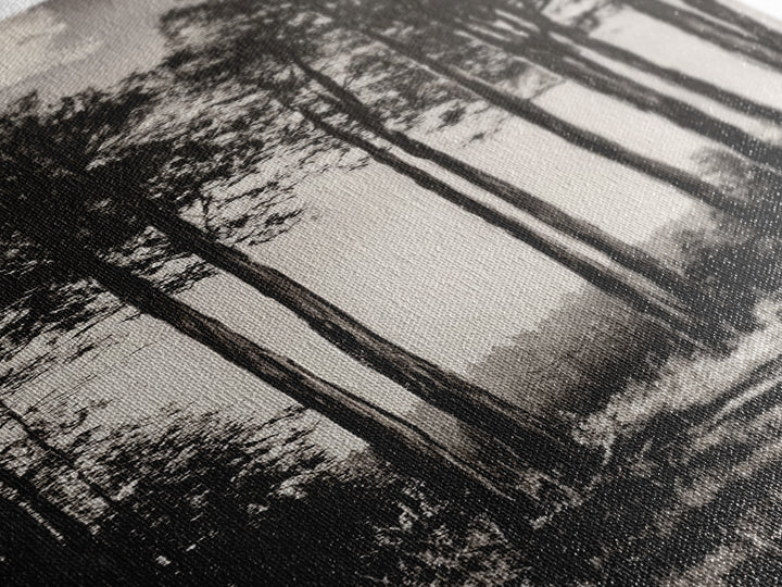 Black White Forest, Minimalist Wall Art, Monochrome Nature Print, Wooded Landscape, Moody Tree Art, Modern Home, Framed Canvas Print