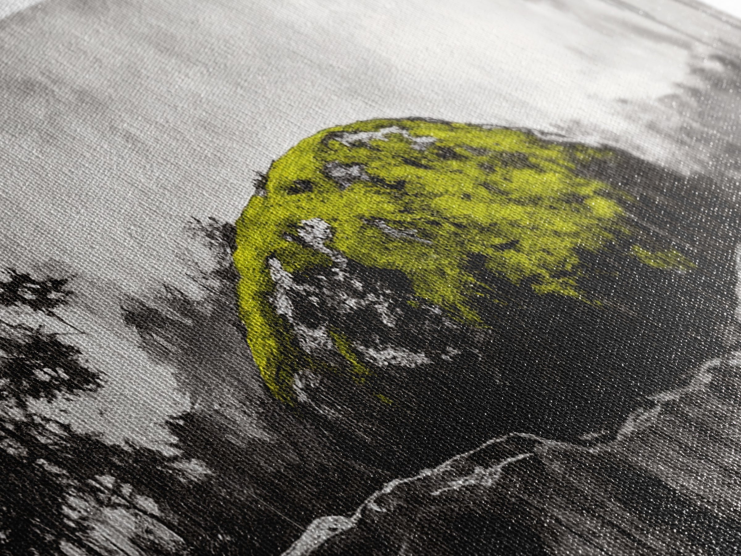 Mossy Rock, Abstract Nature, Green and Black Art, Canvas Print, Rustic Wall Decor, Boho Artwork, Modern Farmhouse Decor