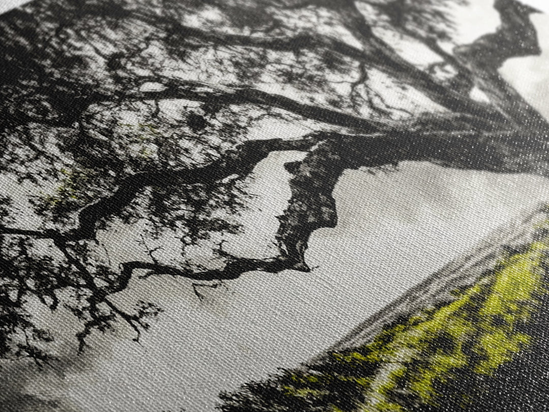 Oak Tree, Scenic Meadow, Black and White Landscape, Framed Canvas Print, Nature Wall Art, Large Canvas Artwork, Living Room Decor