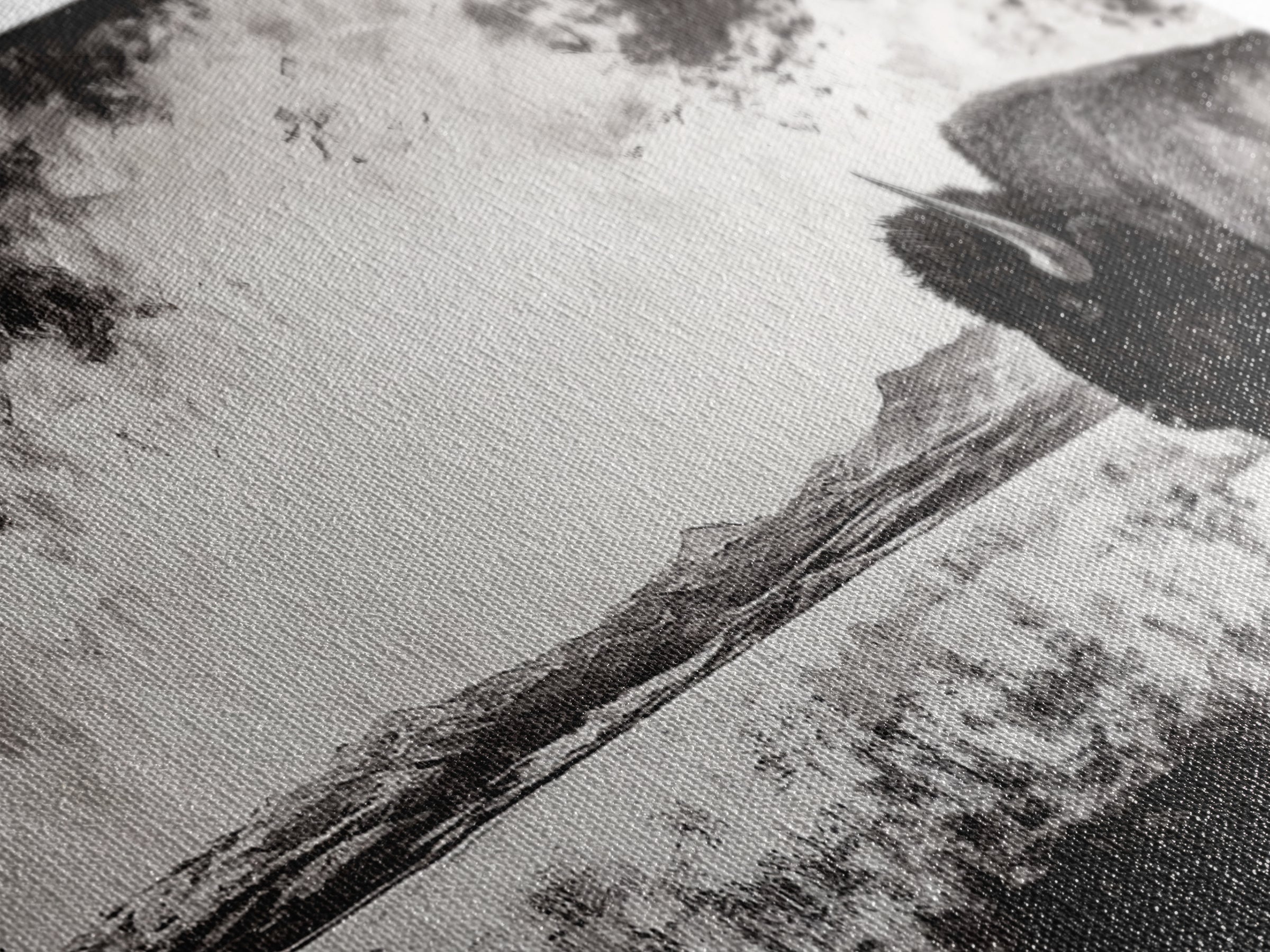 Bison Landscape, Western Art, Black and White Buffalo, Rustic Home Decor, Southwestern Wall Art, Nature Artwork, Framed Canvas Print