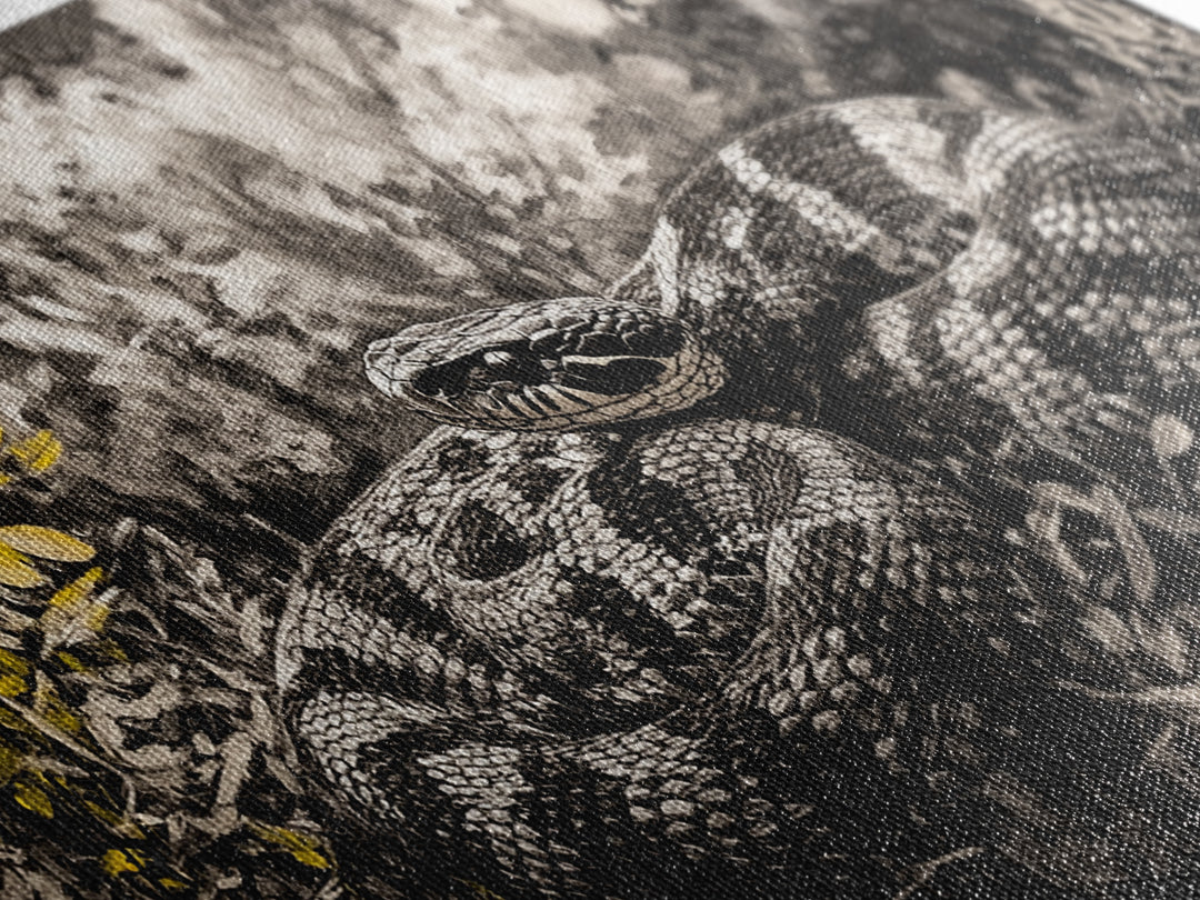 Coiled Snake, Wildlife Art, Nature Wall Art, Rustic Farmhouse Decor, Monochrome Art, Animal Painting, Bedroom Wall Art, Canvas Print
