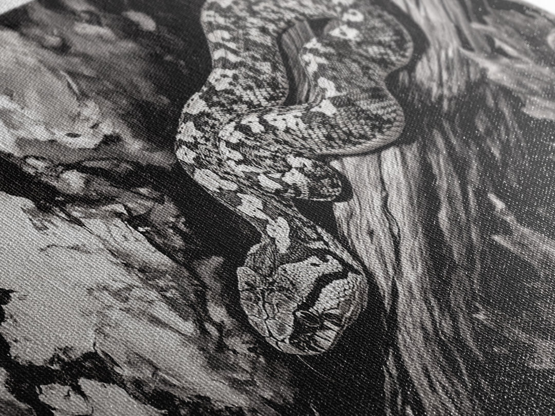 Timber Rattlesnake, Wildlife Artwork, Black and White Nature Art, Rustic Home Decor, Forest Animal Print, Living Room Art, Canvas Print
