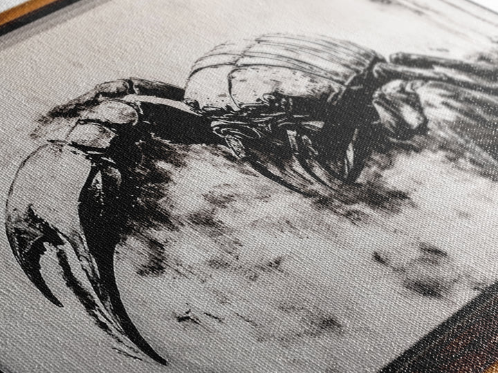 Crab Art, Black and White Coastal Decor, Nautical Wall Art, Beach House Aesthetic, Rustic Framed Canvas Print, Ocean Wildlife Art