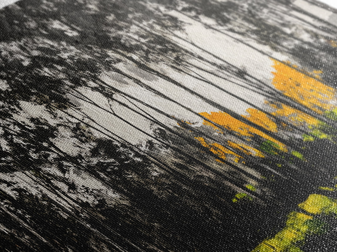 Autumn Trees, Woodland Scene, Black and White Forest, Framed Canvas Print, Nature Landscape Art, Fall Decor, Living Room Art, Rustic Art