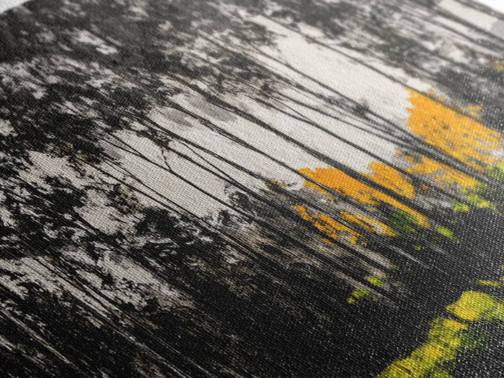 Autumn Trees, Woodland Scene, Black and White Forest, Framed Canvas Print, Nature Landscape Art, Fall Decor, Living Room Art, Rustic Art