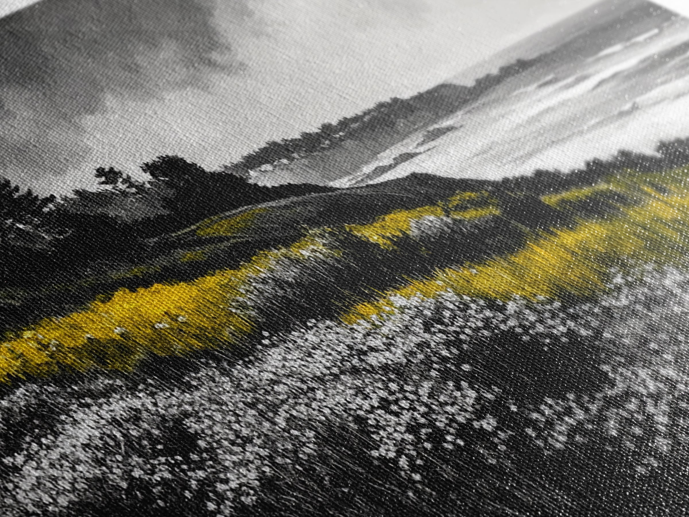 Coastal Meadow, Floral Landscape, Beach Painting, Black and White Art, Nature Wall Decor, Minimalist Art, Framed Canvas Print, Gift Idea