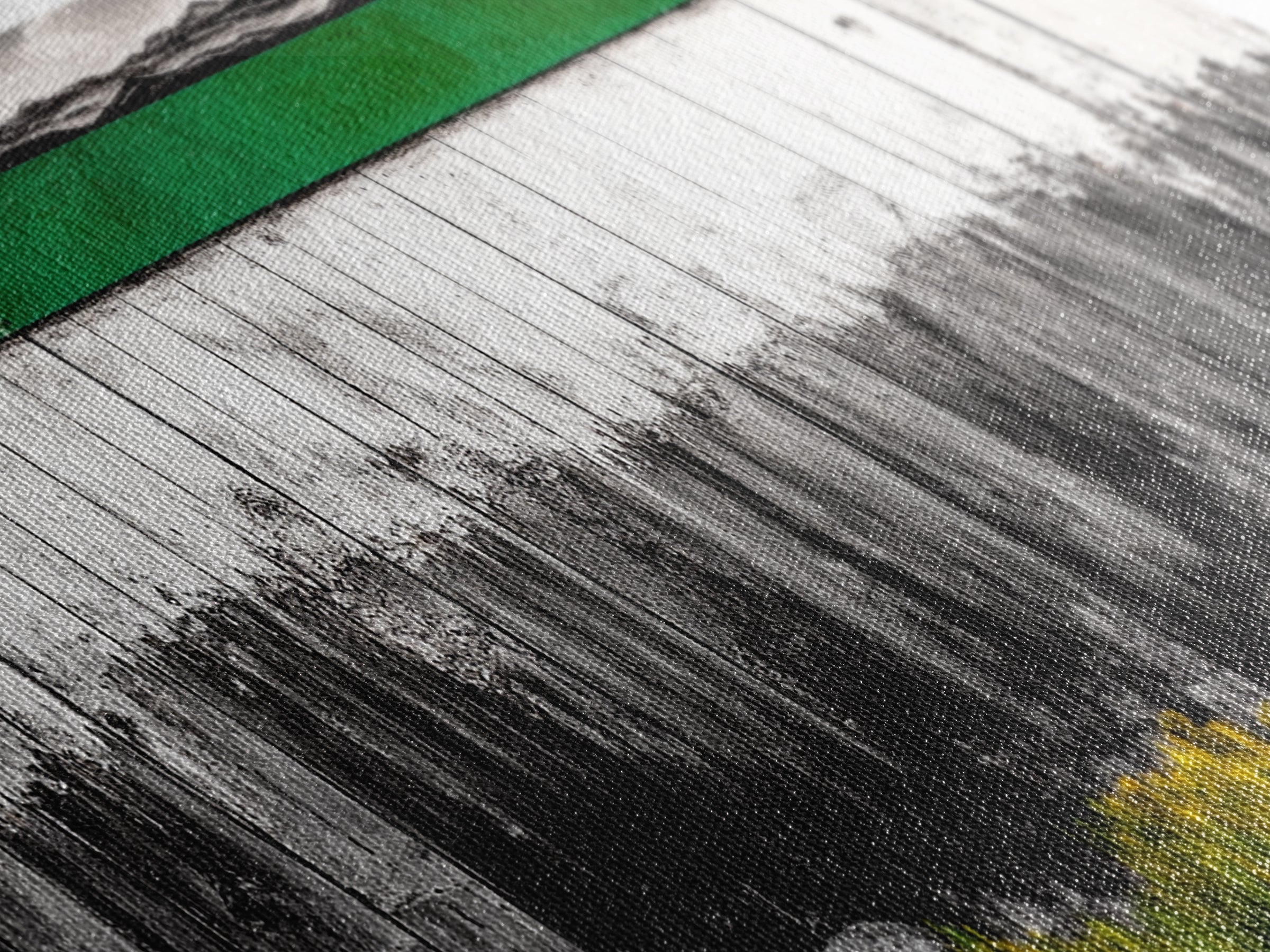 Rustic Fence, Green Landscape, Modern Country Art, Black and White with Color, Nature Inspired, Farmhouse Decor, Serene View, Canvas Print