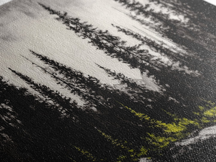 Black Forest, Dark Landscape, Modern Wall Art, Minimalist Nature, Moody Trees, Framed Canvas Print, Living Room Decor, Rustic Cabin Art