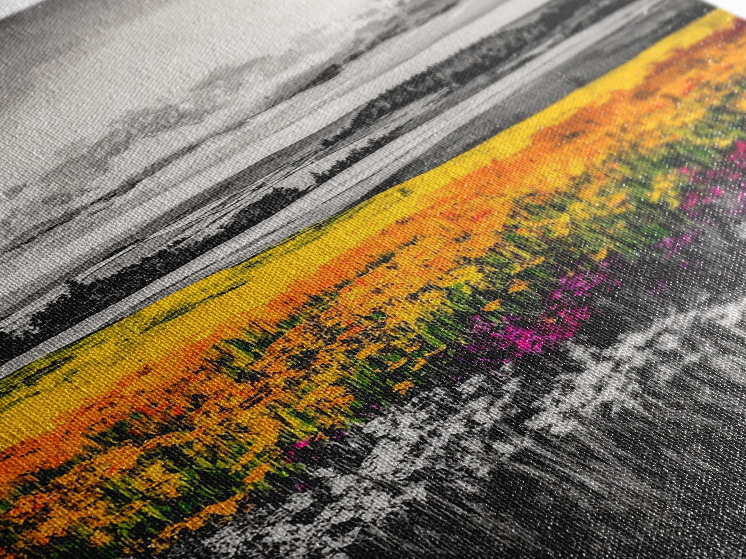 Black White Landscape, Yellow Wildflower Field, Nature Wall Art, Rustic Farmhouse Art, Country Home Decor, Office Art, Framed Canvas Print