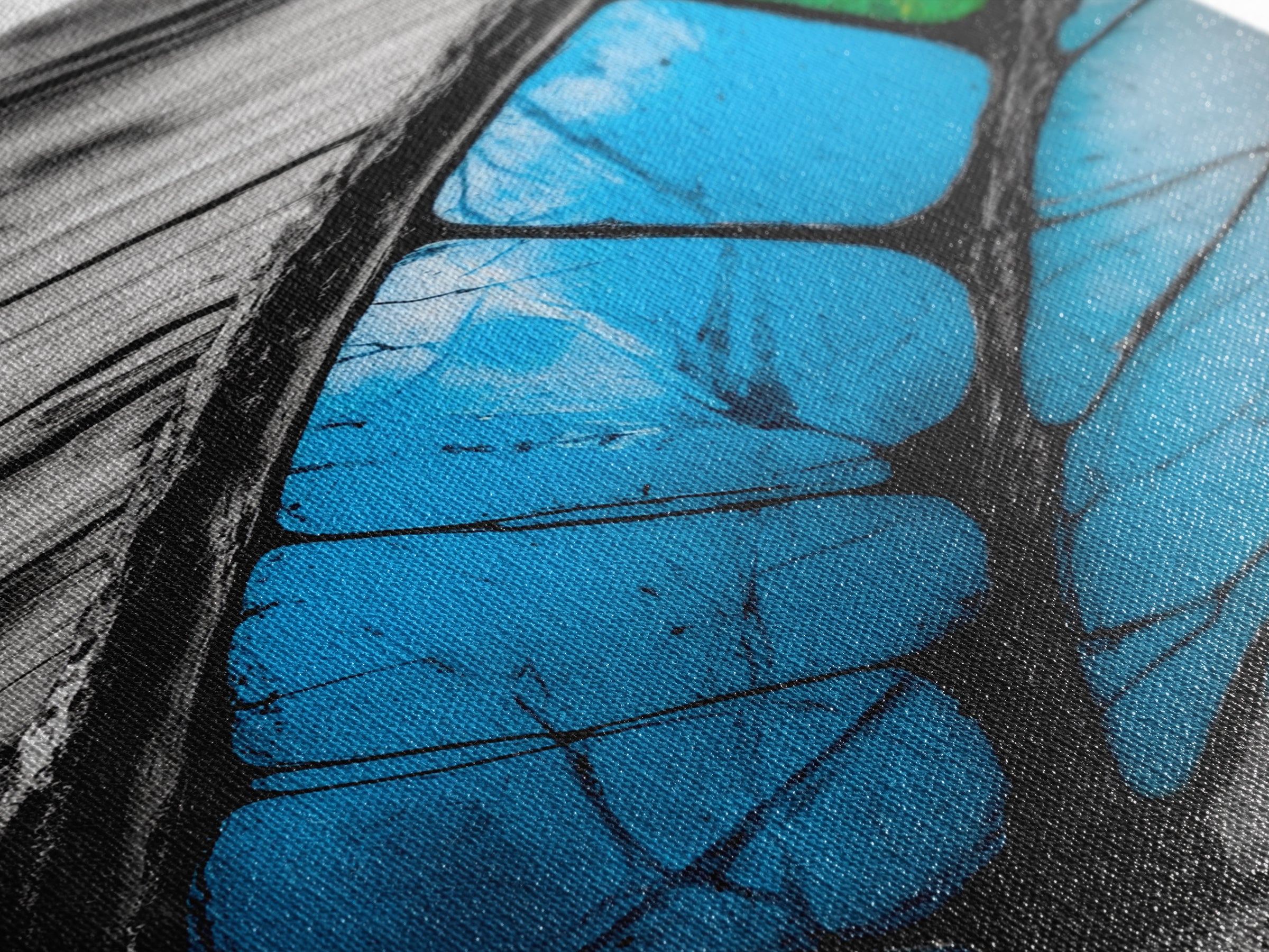 Butterfly Wing Close-up, Nature Photography, Framed Canvas Print, Rustic Wall Art, Minimalist Decor, Blue Abstract Art, Bedroom Wall Decor