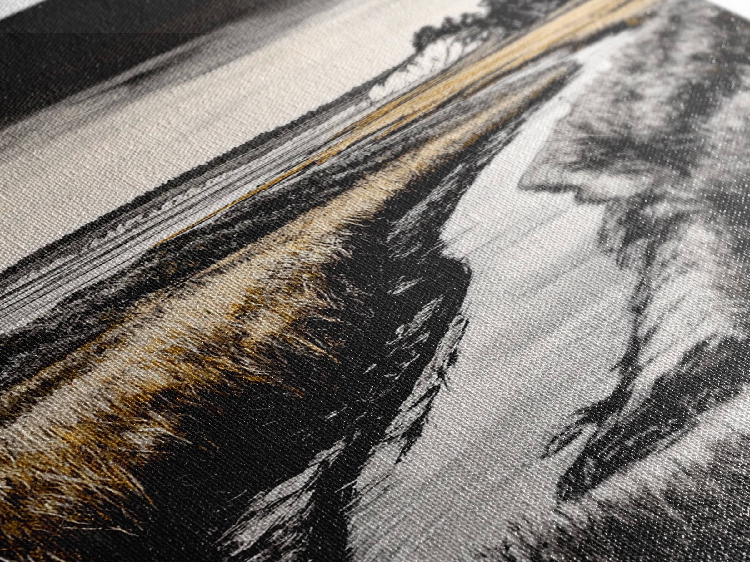 Coastal Landscape, Black and White, Framed Canvas Print, Nature Wall Art, Living Room Decor, Modern Farmhouse Art, Neutral Tones