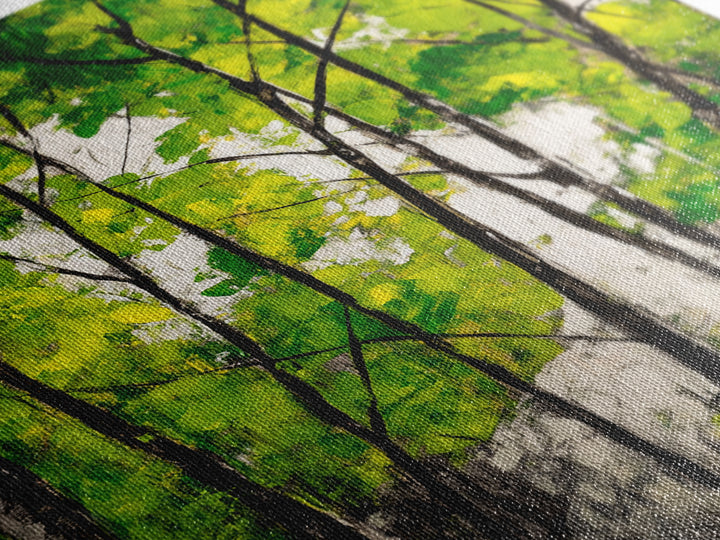 Birch Trees, Green Forest Art, Nature Landscape, Abstract Painting, Contemporary Wall Decor, Earthy Home Art, Framed Canvas Print