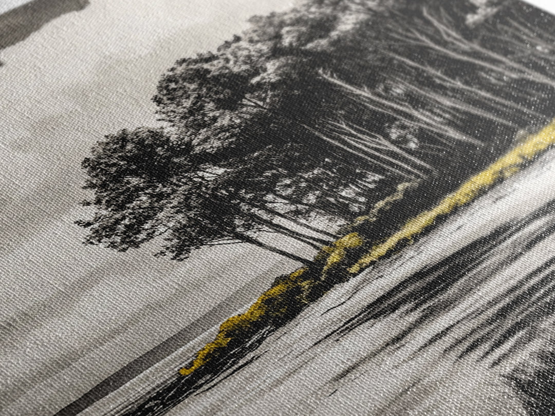 Coastal Trees, Black and White Art, Canvas Print, Modern Landscape, Nature Wall Art, Minimalist Home Decor, Serene Artwork, Ocean Scene