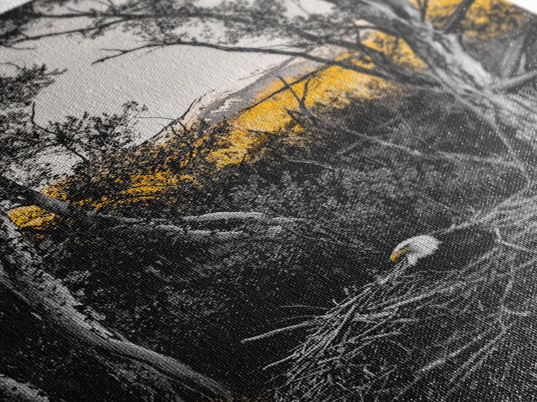 Bald Eagle Nest Art, Black White Forest, Yellow Fall Trees, Wildlife Nature Decor, Rustic Lodge Wall Art, Living Room Art, Canvas Print