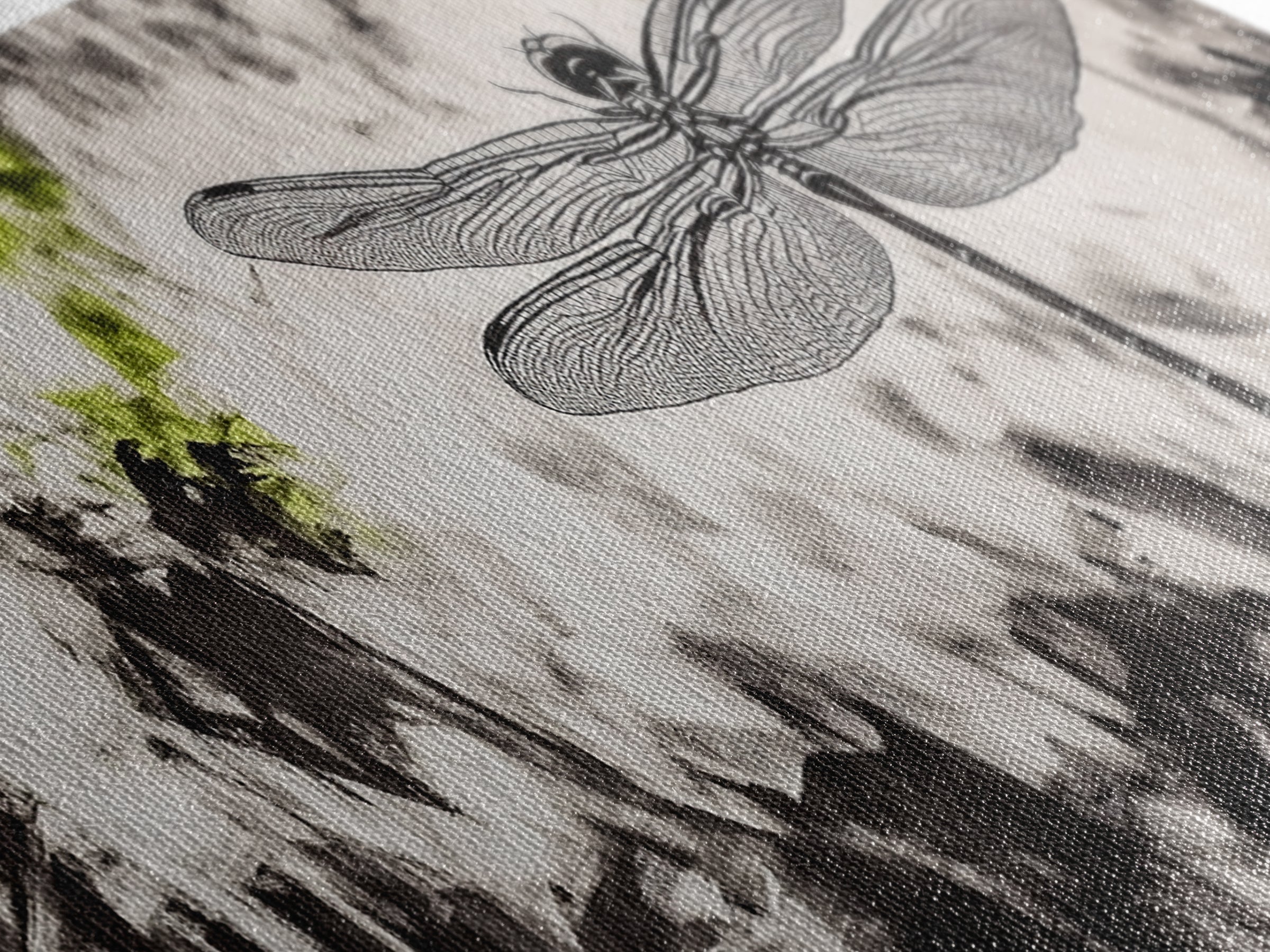 Dragonfly Sketch, Monochrome Nature, Canvas Print, Modern Wall Art, Minimalist Decor, Botanical Illustration, Bedroom Artwork