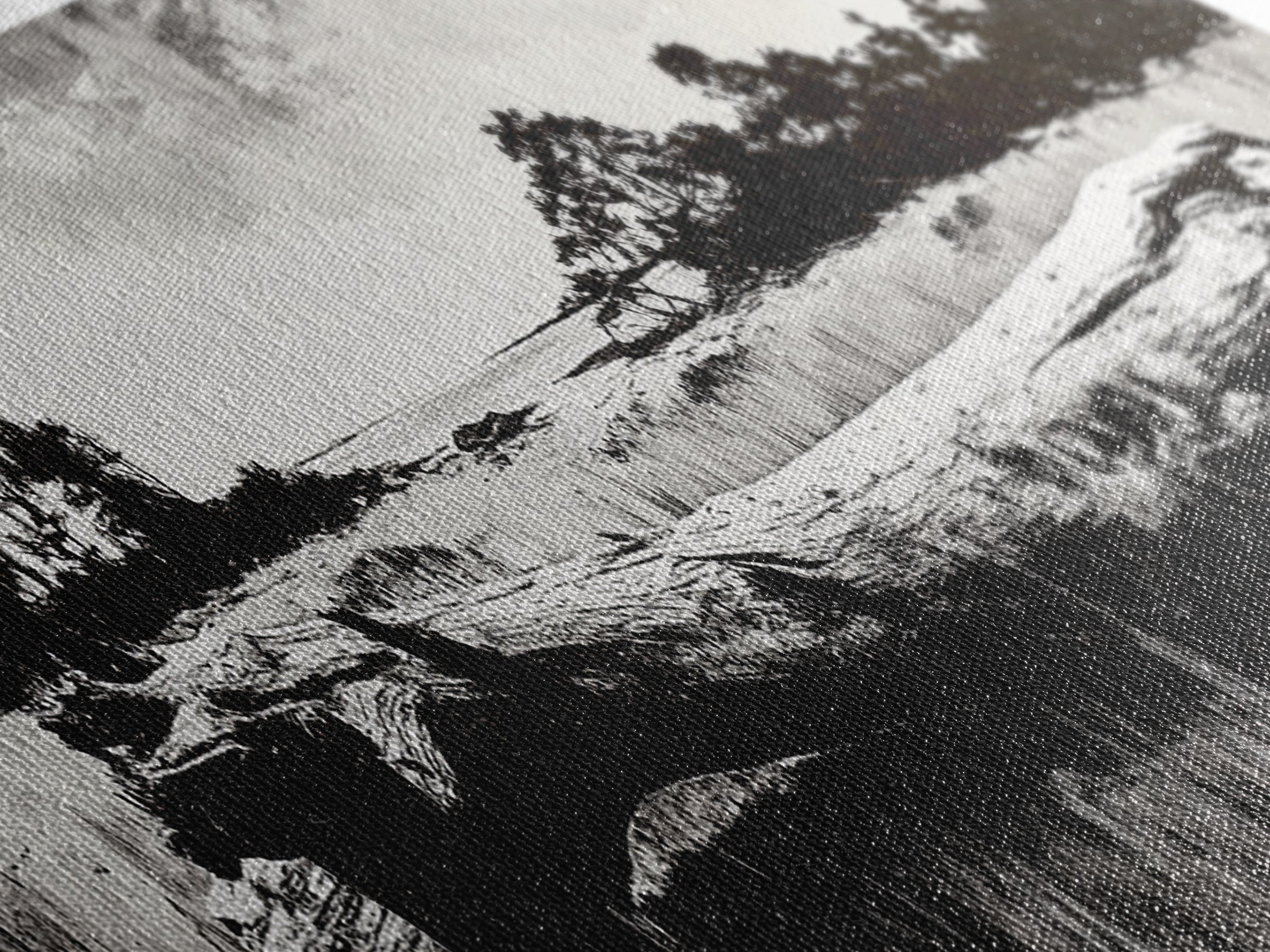 Driftwood Beach, Coastal Landscape, Framed Canvas Print, Black and White Wall Art, Nature Photography Style, Serene Home Decor, Bedroom Art