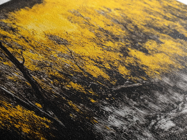 Autumn Forest, Golden Trees, Fall Landscape, Canvas Print, Rustic Wall Art, Nature Lover Decor, Warm Tones, Large Wall Art, Cozy Aesthetic