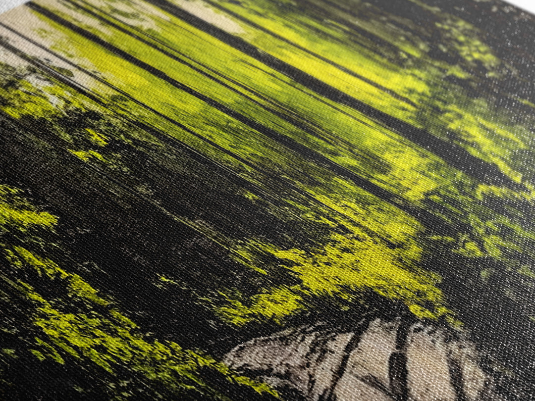 Dark Forest, Mystical Path, Framed Canvas Print, Nature Inspired Wall Art, Greenery Home Decor, Large Wall Art, Living Room Art