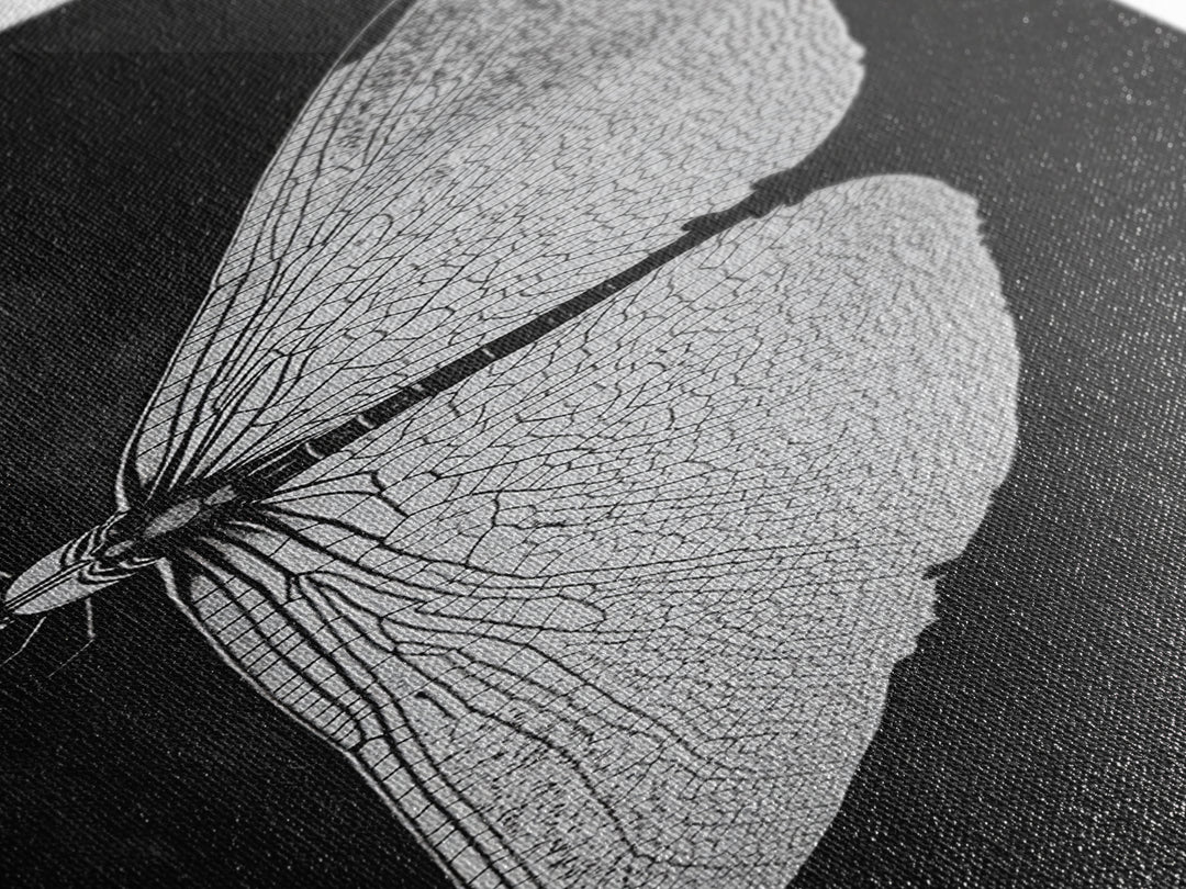 Dragonfly Wings Macro, Nature Insect Print, Detailed Bug Art, Minimalist Scientific Wall Decor, Framed Canvas Print, Study Room Art