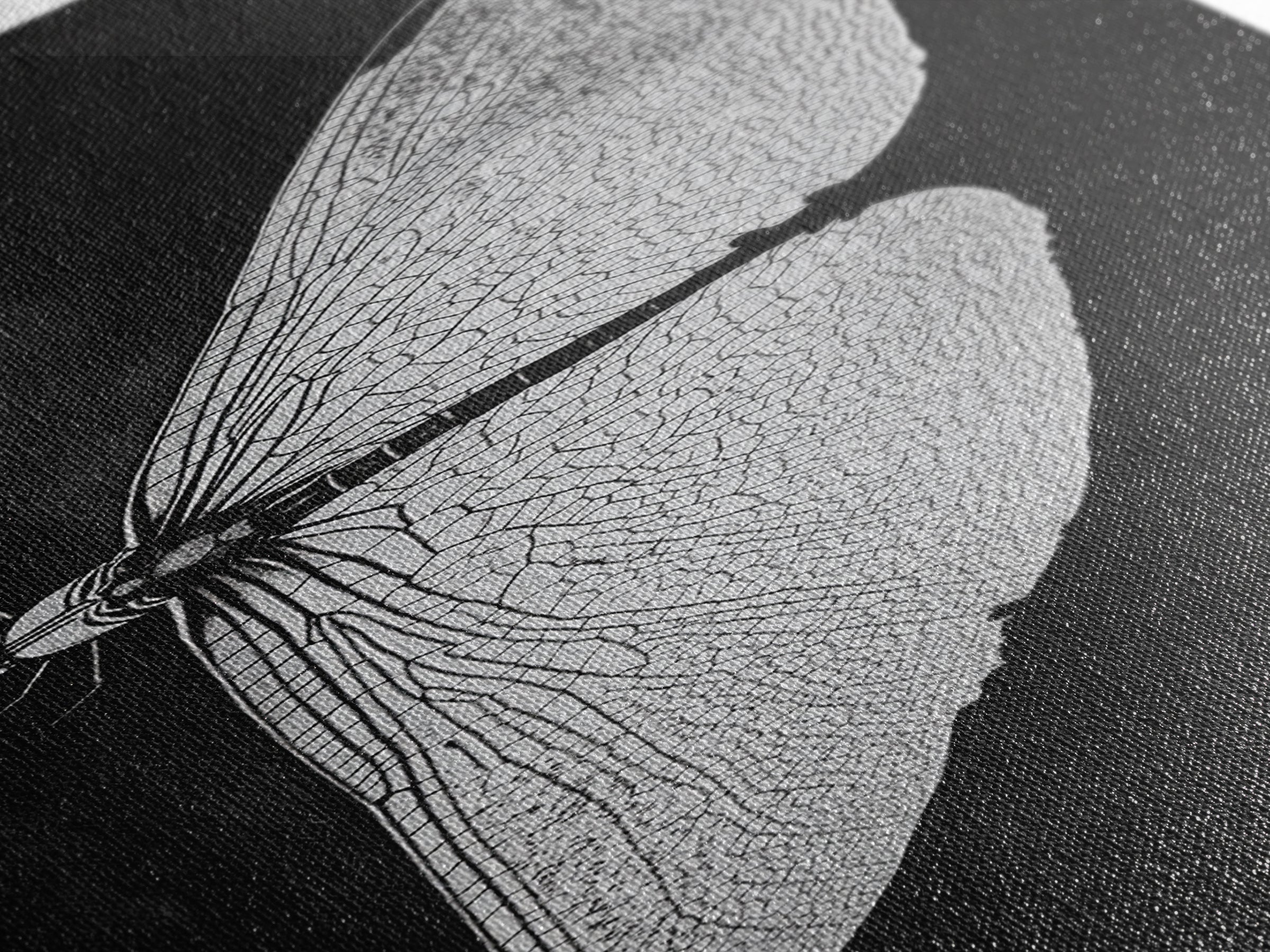 Dragonfly Wings Macro, Nature Insect Print, Detailed Bug Art, Minimalist Scientific Wall Decor, Framed Canvas Print, Study Room Art