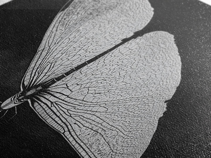 Dragonfly Wings Macro, Nature Insect Print, Detailed Bug Art, Minimalist Scientific Wall Decor, Framed Canvas Print, Study Room Art