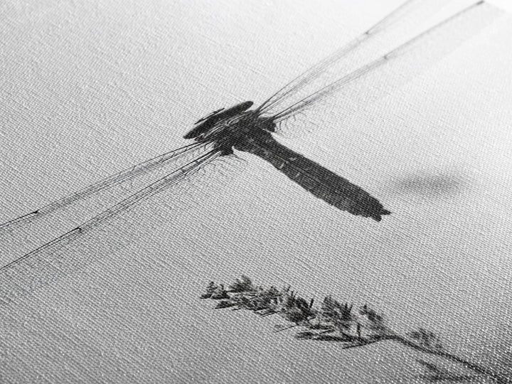 Dragonfly, Nature Wall Art, Insect Print, Minimalist Style, Canvas Print, Neutral Wall Decor, Bedroom Wall Art, Boho Botanical Insect