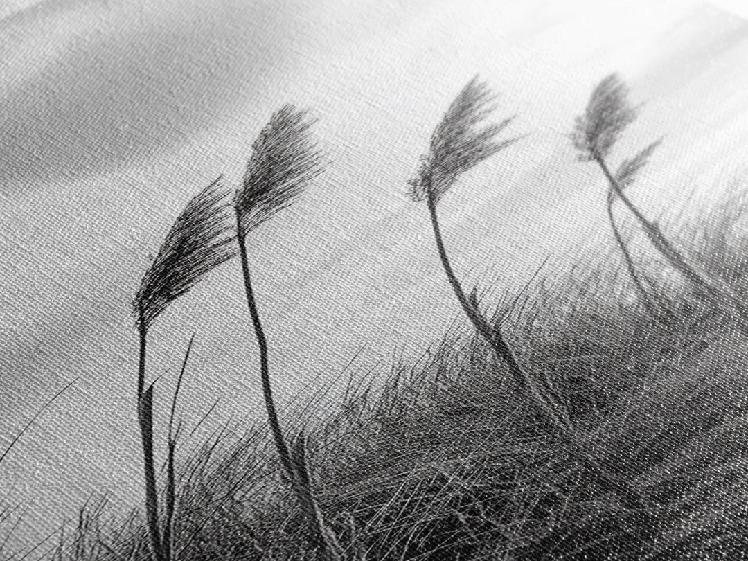Windy Grasses, Coastal Scene, Tall Grass Field, Autumn Decor, Canvas Print, Farmhouse Style, Dining Room Wall Art, Nature Mood