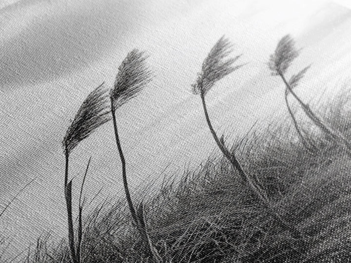 Windy Grasses, Coastal Scene, Tall Grass Field, Autumn Decor, Canvas Print, Farmhouse Style, Dining Room Wall Art, Nature Mood
