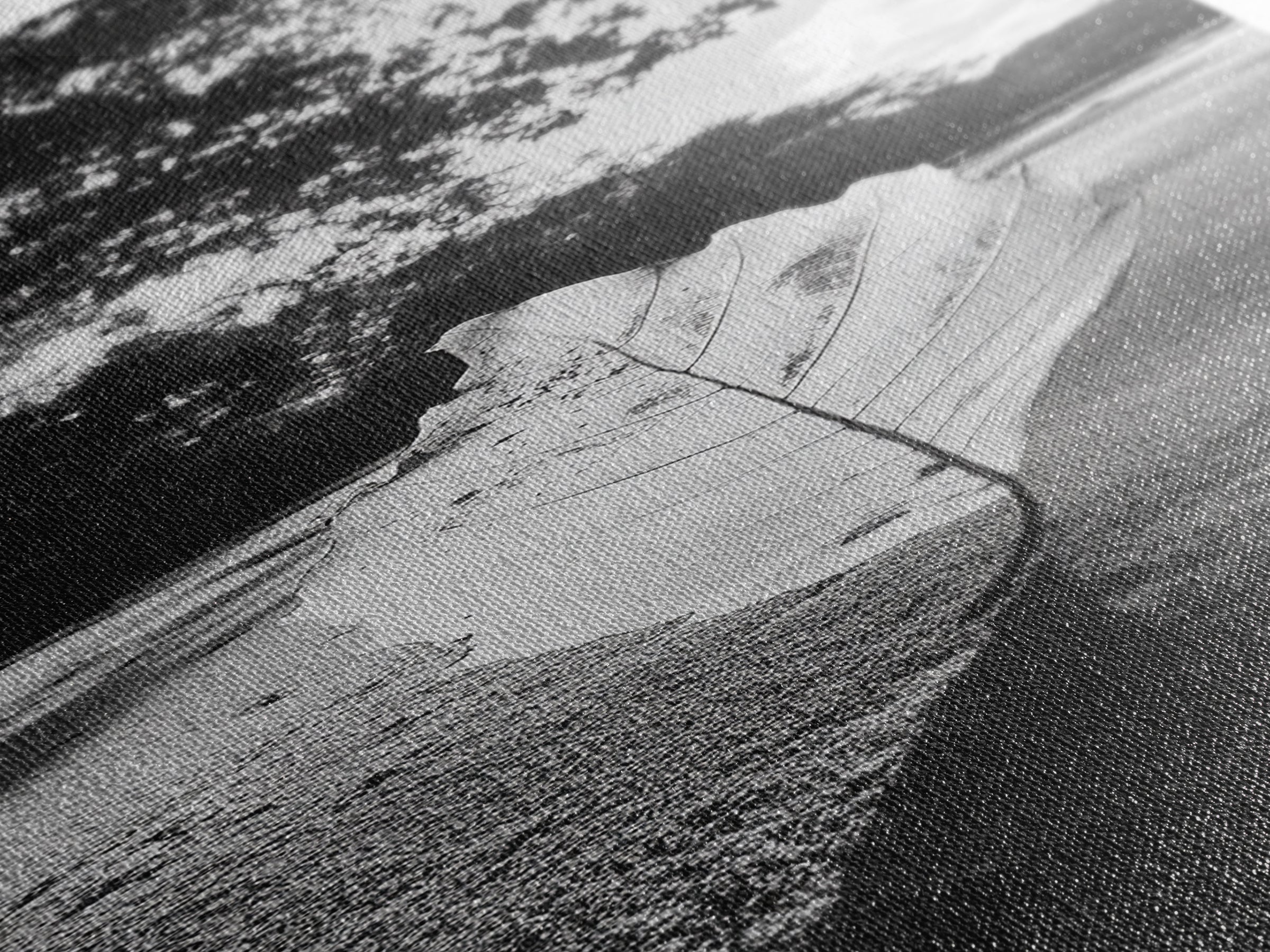 Autumn Leaf Beach, Fall Nature Scene, Minimal Wall Decor, Framed Canvas Print, Seasonal Bedroom Art, Black and White Photography