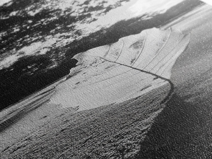 Autumn Leaf Beach, Fall Nature Scene, Minimal Wall Decor, Framed Canvas Print, Seasonal Bedroom Art, Black and White Photography