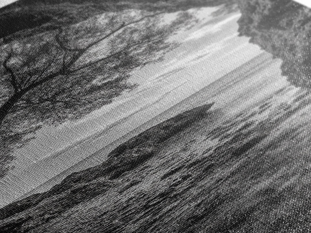 Cave View, Coastal Tree, Ocean Horizon, Black and White Landscape, Canvas Print, Rustic Seaside Art, Living Room Art, Entry Wall Decor