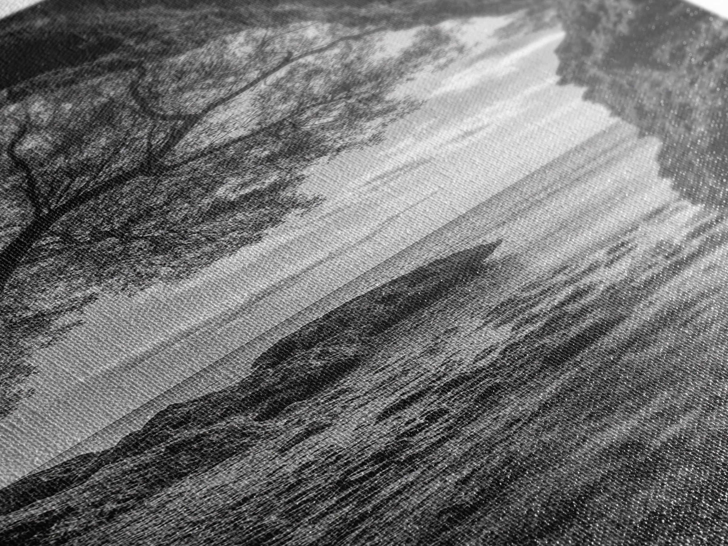 Cave View, Coastal Tree, Ocean Horizon, Black and White Landscape, Canvas Print, Rustic Seaside Art, Living Room Art, Entry Wall Decor