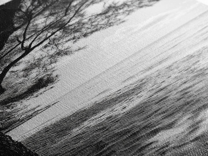 Coastal Tree Shade, Beach Sand Path, Seaside Serenity, Nature Retreat, Framed Canvas Print, Bathroom Wall Art, Neutral Tones, Calm Ocean Art