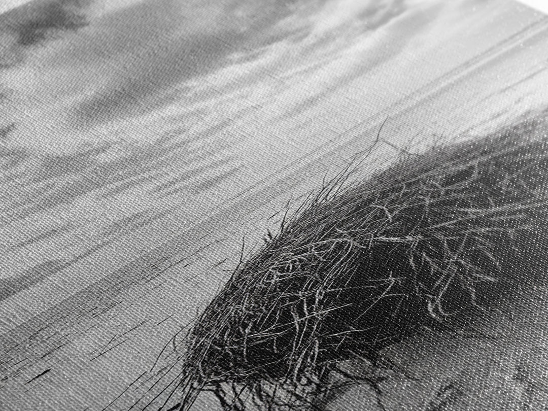 Beach Tumbleweed, Windy Dune, Coastal Drift, Seaside Simplicity, Monochrome Shoreline Framed Canvas Print, Bathroom Beach Wall Decor
