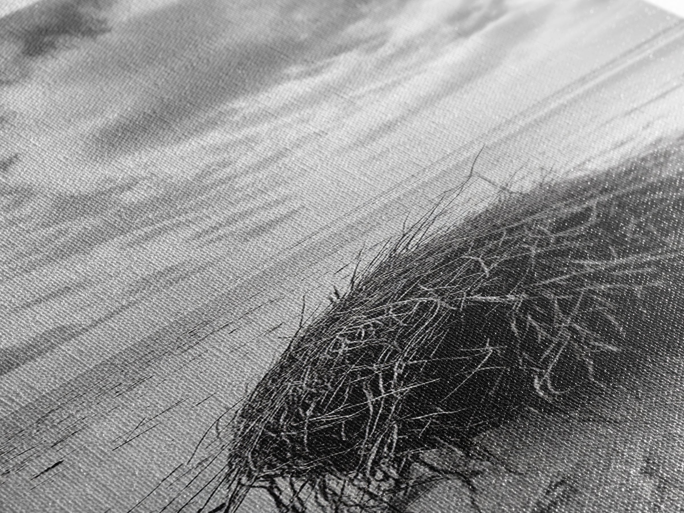 Beach Tumbleweed, Windy Dune, Coastal Drift, Seaside Simplicity, Monochrome Shoreline Framed Canvas Print, Bathroom Beach Wall Decor