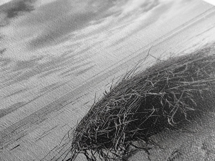 Beach Tumbleweed, Windy Dune, Coastal Drift, Seaside Simplicity, Monochrome Shoreline Framed Canvas Print, Bathroom Beach Wall Decor