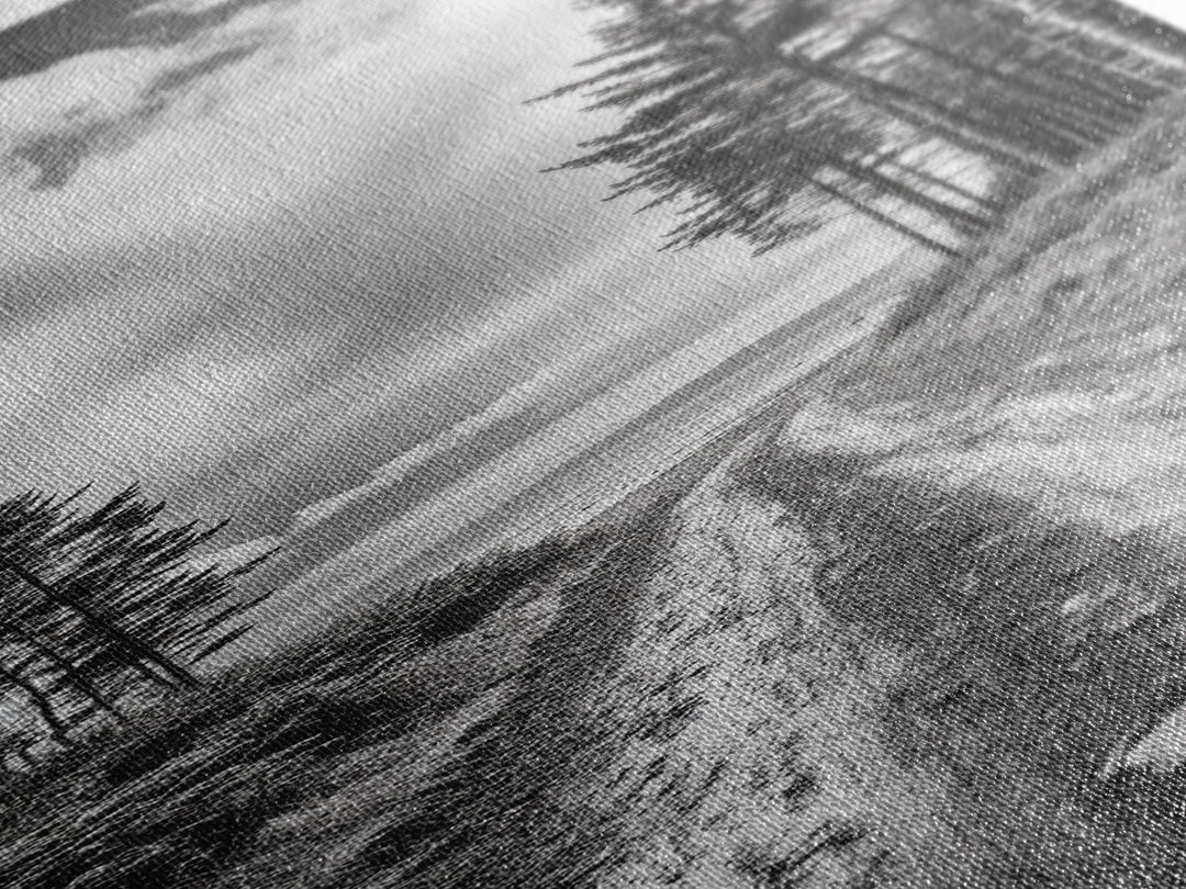 Coastal Forest Path, Nature Trail, Ocean View, Black and White, Framed Canvas Print, Entryway Wall Art, Rustic Decor, Landscape Photography