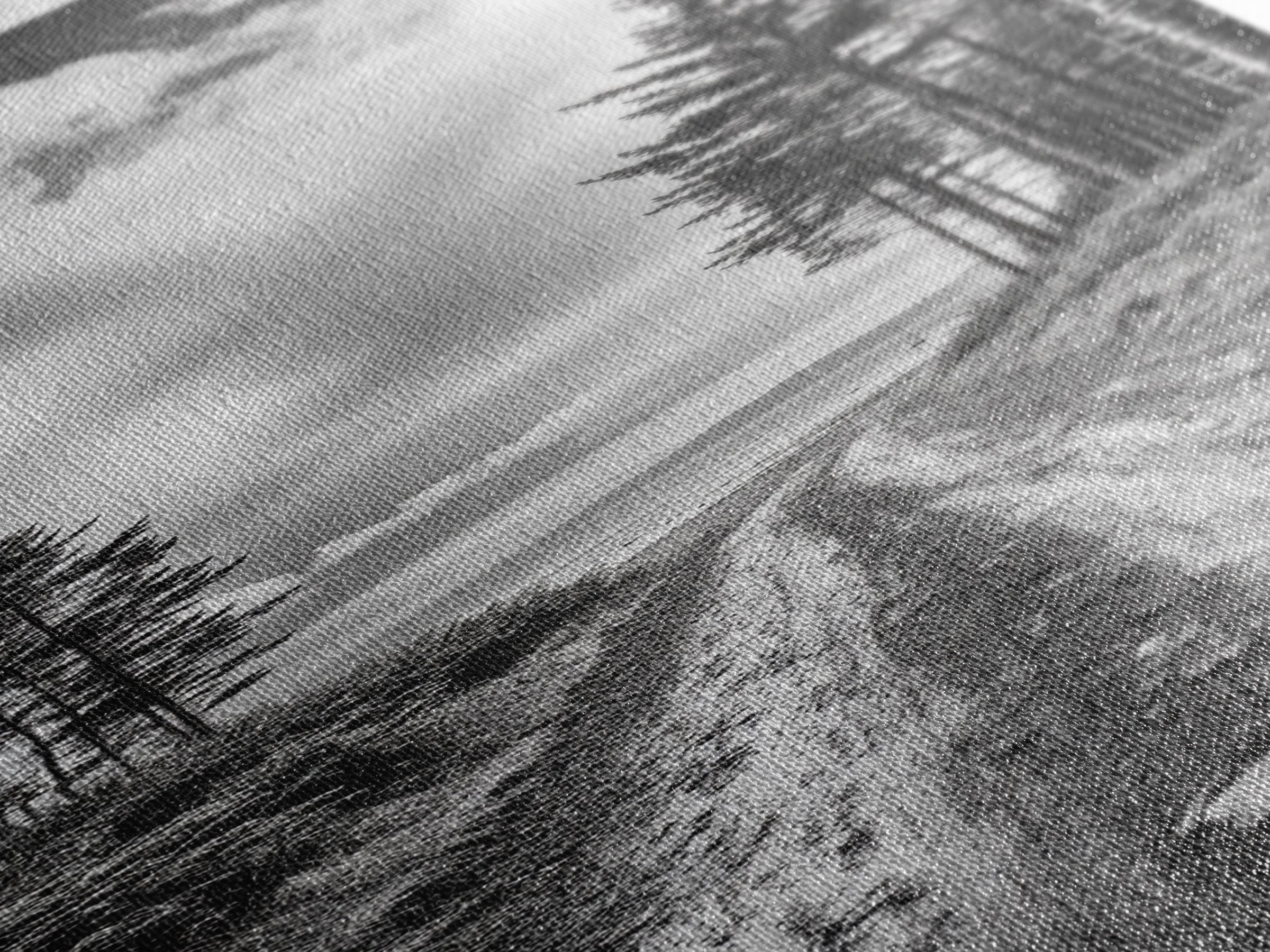 Coastal Forest Path, Nature Trail, Ocean View, Black and White, Framed Canvas Print, Entryway Wall Art, Rustic Decor, Landscape Photography