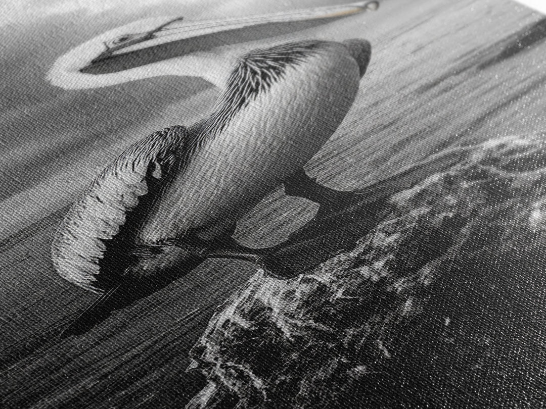 Coastal Bird Portrait, Ocean Wildlife, Nature Decor, Minimalist Art, Framed Canvas Print, Beach House Bathroom Wall Art, Living Room Art